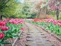 Joc Calea Jigsaw on-line