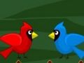 Joc Toco Toucan Evadare  on-line