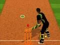 Joc Provocarea baterii de cricket on-line Joc Provocarea baterii de cricket on-line