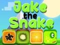 Joc Jake Șarpele  on-line