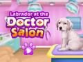 Joc Labrador la salonul medicului  on-line
