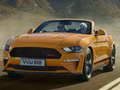 Joc Diapozitiv special Ford Mustang California on-line