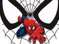 Joc Cărți de meci Spiderman  on-line