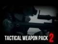 Joc Pachetul de arme tactice 2  on-line