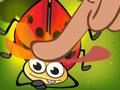 Joc Cush de insecte  on-line