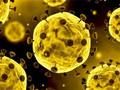 Joc Slide Coronavirus  on-line
