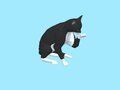 Joc Cat Escape: Joacă pisica foame  on-line