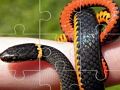 Joc Puzzle cu șerpi  on-line