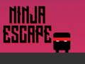 Joc Evadare ninja  on-line