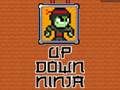 Joc Sus în jos Ninja  on-line