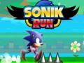 Joc Sonik Run on-line