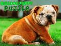 Joc Puzzle Bulldog Puppy on-line