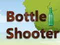 Joc Shooting cu sticle  on-line