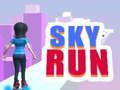 Joc Sky Run on-line
