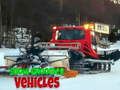 Joc Vehicule de îngrijire a zăpezii  on-line