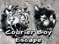 Joc Curier Boy Evadare  on-line