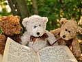 Joc Jigsaw Trei Teddy  on-line