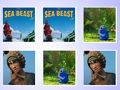 Joc Se potrivește cardul de memorie The Sea Beast  on-line