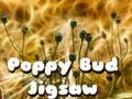 Joc Jigsaw Bud de mac  on-line
