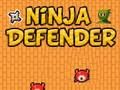 Joc Apărătorul Ninja  on-line