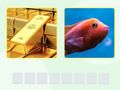 Joc Picword on-line