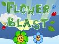 Joc Explozie de flori  on-line