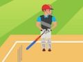 Joc Cricket 2d on-line