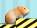 Joc Hamster Pentru a confirma  on-line