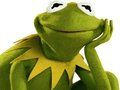 Joc Carte de colorat pentru Broasca Kermit  on-line