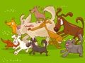 Joc Obiect ascuns  on-line