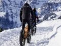 Joc Biciclete de munte Jigsaw  on-line