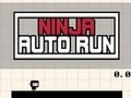 Joc Ninja Auto Run on-line