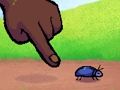 Joc Atingător de insecte  on-line