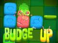Joc BUDGE UP on-line