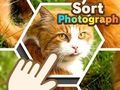 Joc Sortare fotografie  on-line