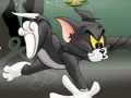 Joc Tom și Jerry Chase în Marsh  on-line