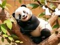 Joc Jigsaw Puzzle: Panda în copac  on-line