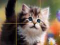 Joc Pisicuțe glisante puzzle  on-line