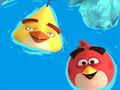 Joc Carte de colorat: Angry Birds  on-line