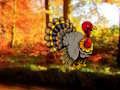 Joc Ziua Recunostintei Dancing Turkey Escape  on-line