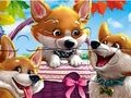 Joc Jigsaw Puzzle: Corgis amuzant  on-line