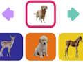 Joc Pui de animale  on-line