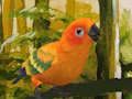 Joc Puzzle drăguț cu Budgie  on-line