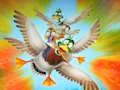 Joc Migrație Flappy Duck  on-line