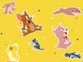 Joc Emisiunea lui Tom și Jerry Găsește-l!  on-line