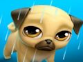 Joc Animalul meu de companie virtual Louie the Pug  on-line