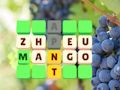 Joc Slide de cuvinte on-line