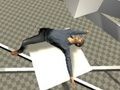 Joc Testul Ragdoll  on-line
