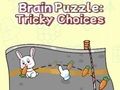 Joc Puzzle creier: alegeri complicate  on-line