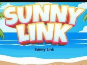 Joc Sunny Link on-line